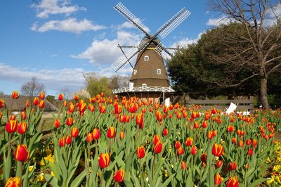 🌳 후나바시 안데르센 공원(후나바시 안데루센 코엔) 이미지 2